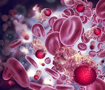 Symbolfoto Krebszellen